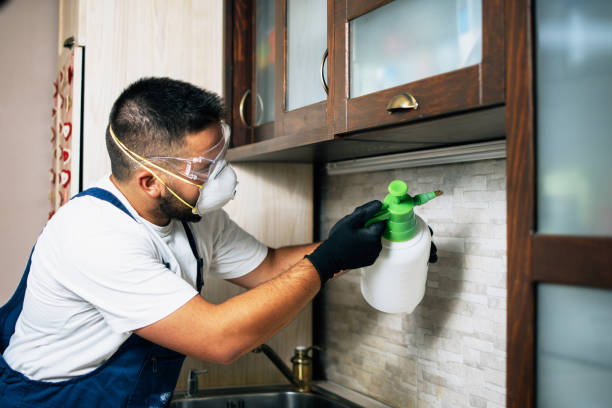 Best Affordable Pest Control Services  in Fort Oglethorpe, GA