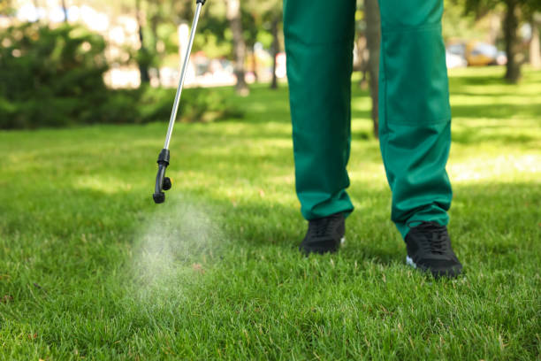 Best Local Pest Control Services  in Fort Oglethorpe, GA