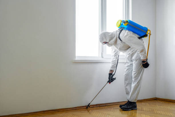 Wasp Removal Services in Fort Oglethorpe, GA