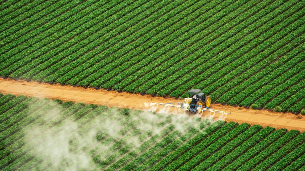 Best Pest Prevention Services  in Fort Oglethorpe, GA