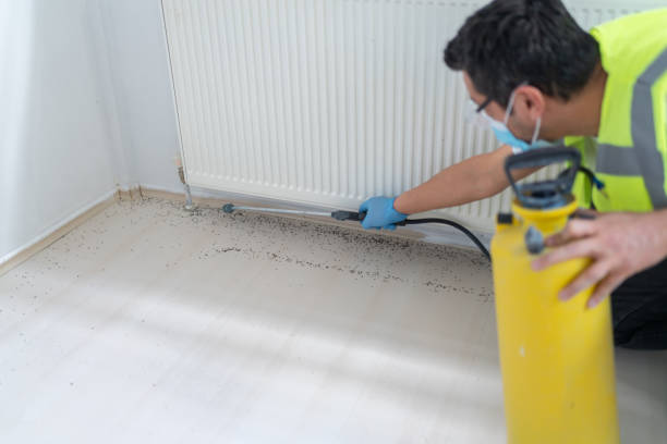 Trusted Fort Oglethorpe, GA Pest Control Experts