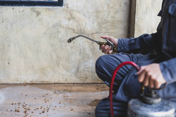 Best Flea Control Services  in Fort Oglethorpe, GA